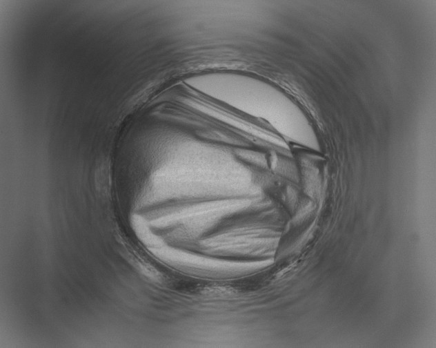 X0000075380397200610061844