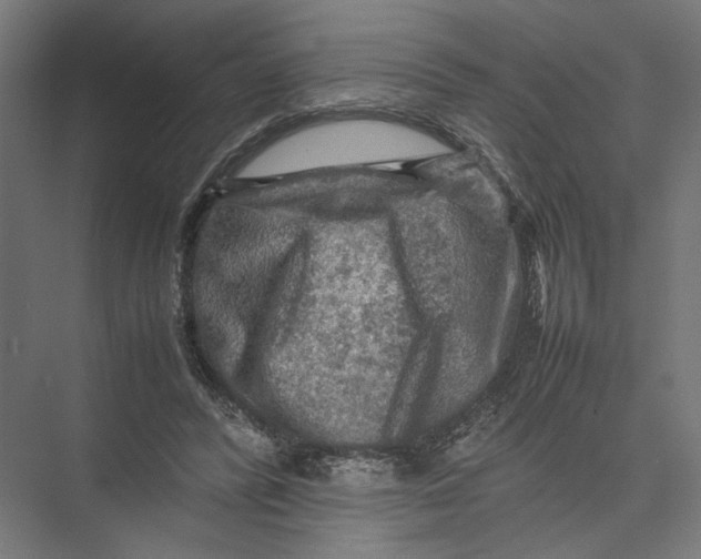 X0000075380400200610061844