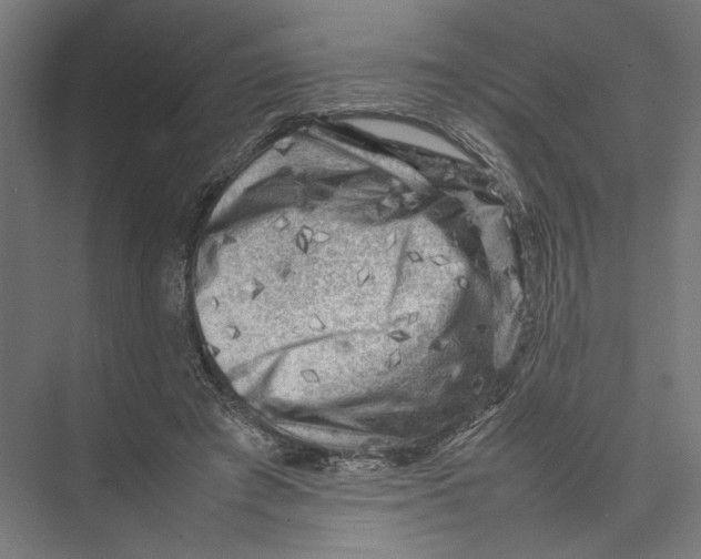 X0000075380401200610061844