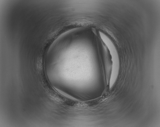 X0000075380403200610061844