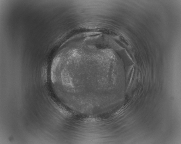 X0000075380404200610061844