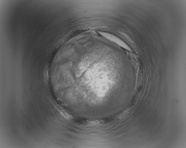 X0000075380405200610061844