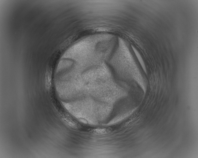 X0000075380406200610061844