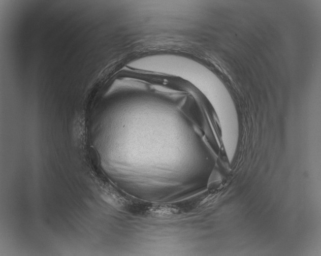 X0000075380407200610061844