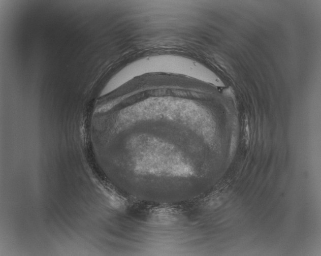 X0000075380408200610061844