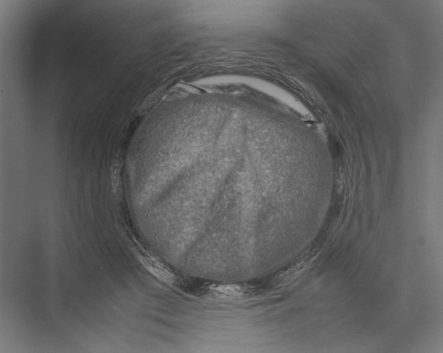 X0000075380409200610061844