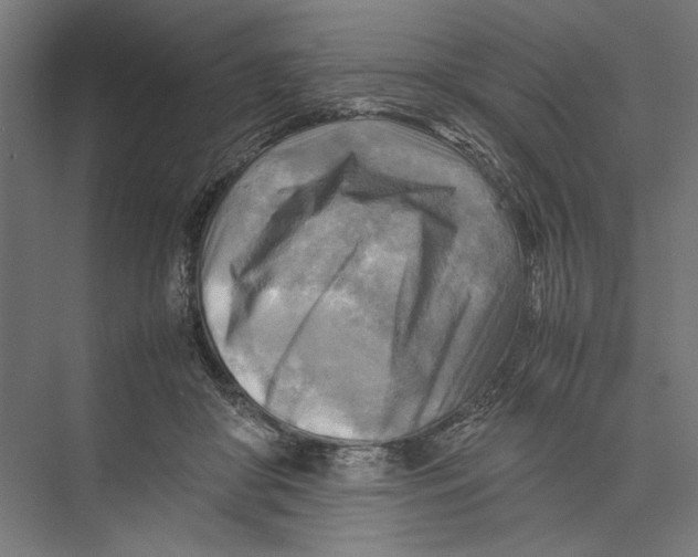 X0000075380410200610061844