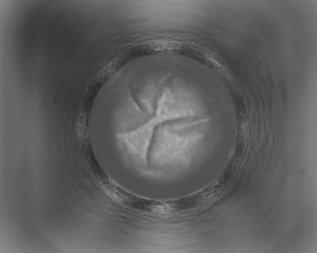 X0000075380411200610061844