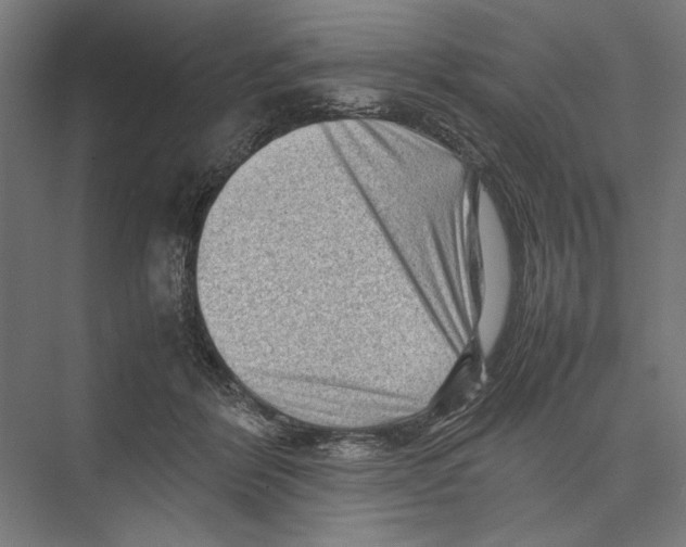 X0000075380412200610061844