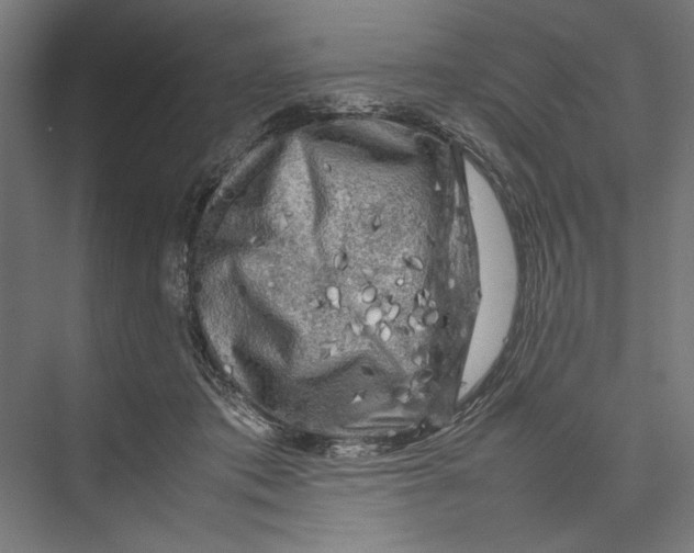 X0000075380413200610061844