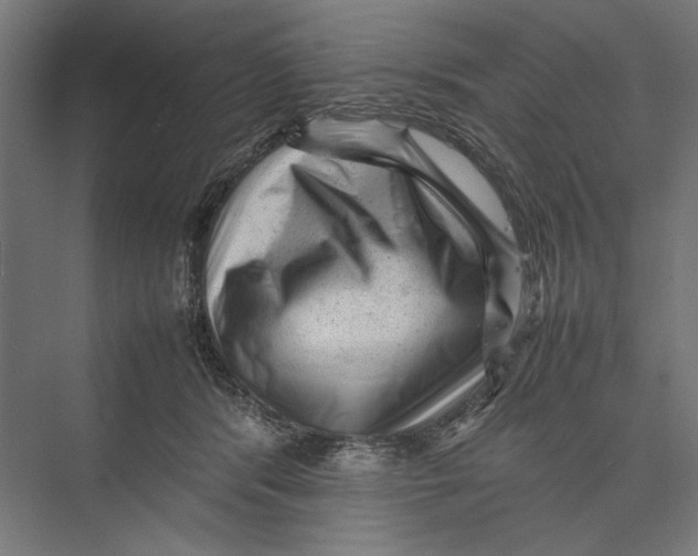 X0000075380416200610061844