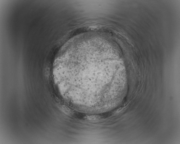 X0000075380417200610061844