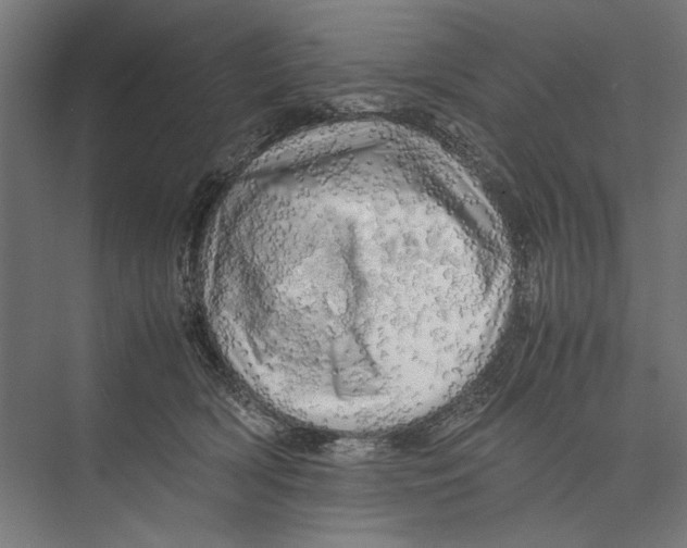 X0000075380418200610061844