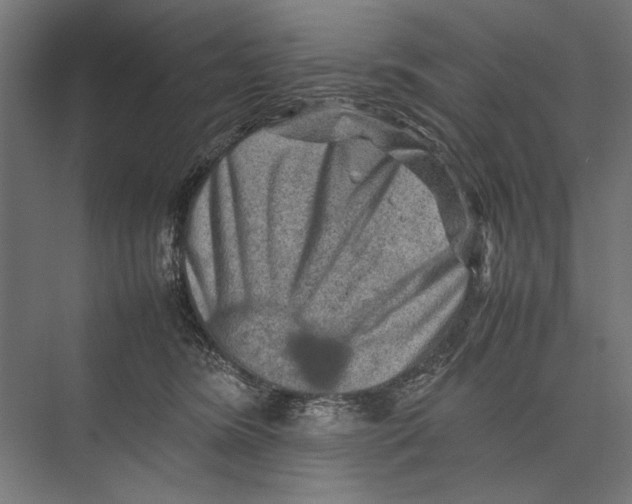 X0000075380420200610061844