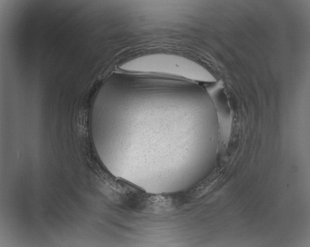 X0000075380421200610061844