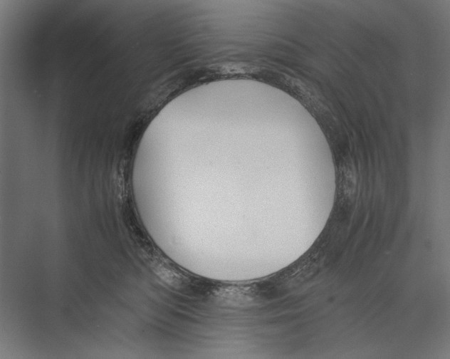 X0000075380422200610061844