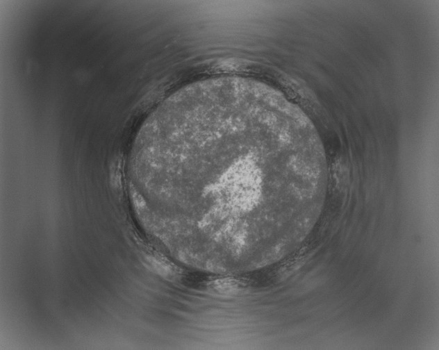 X0000075380423200610061844