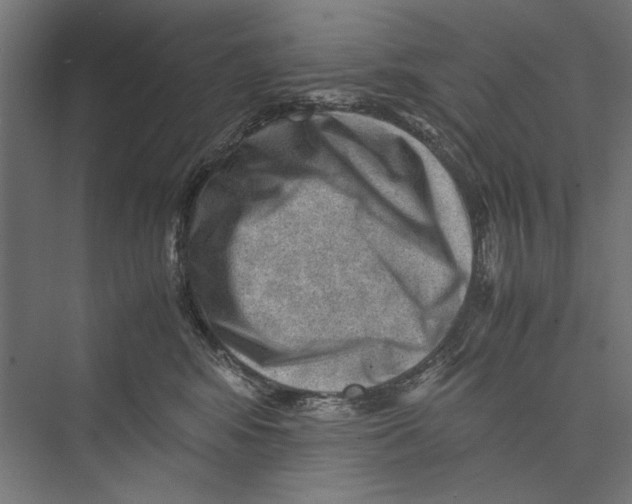 X0000075380424200610061844