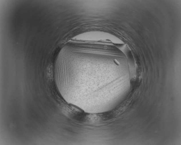 X0000075380425200610061844