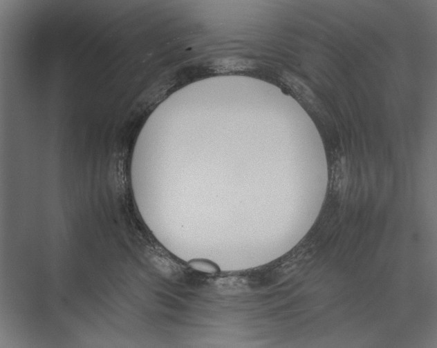 X0000075380426200610061844