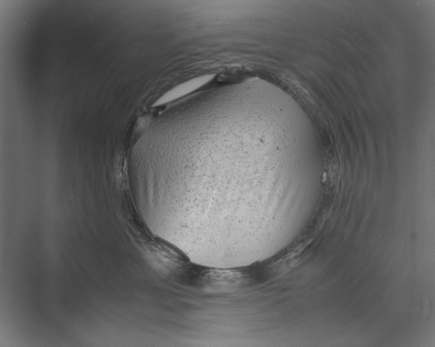 X0000075380429200610061844