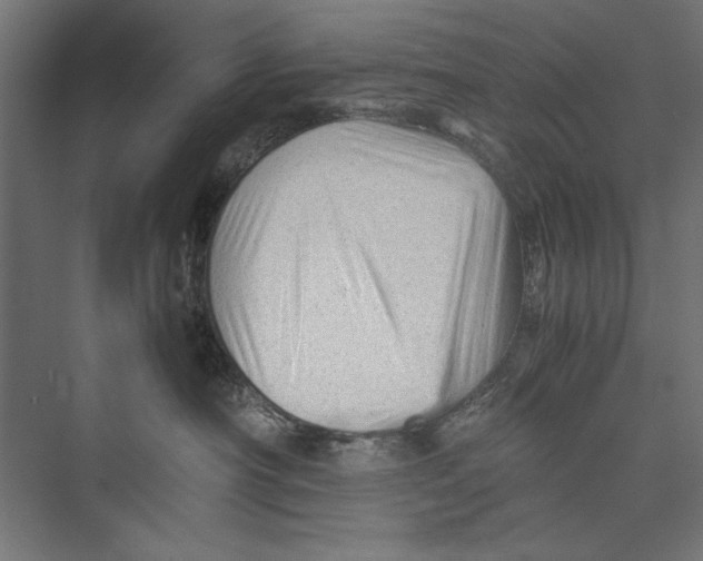 X0000075380430200610061844