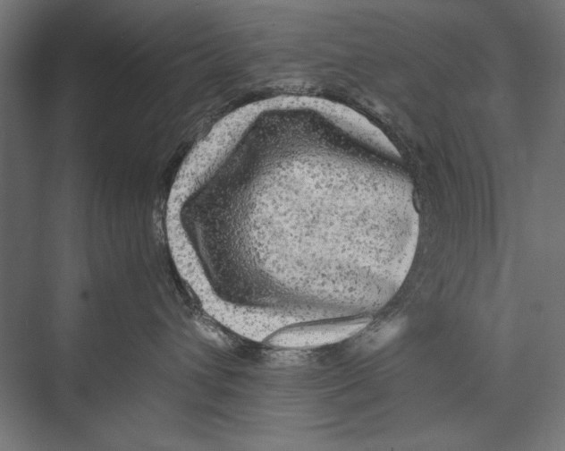 X0000075380432200610061843