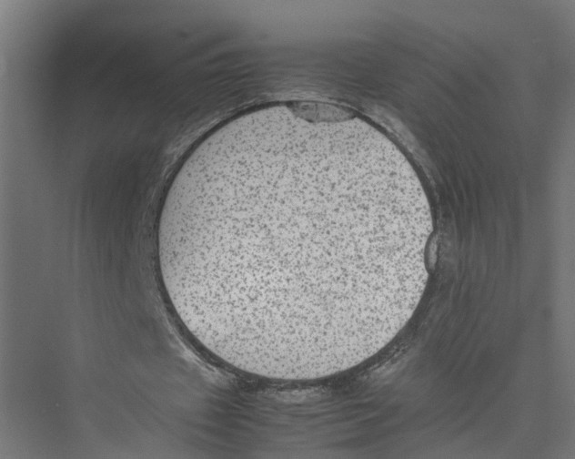 X0000075380433200610061843