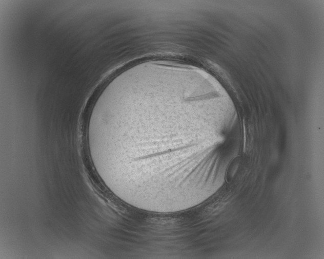 X0000075380435200610061843