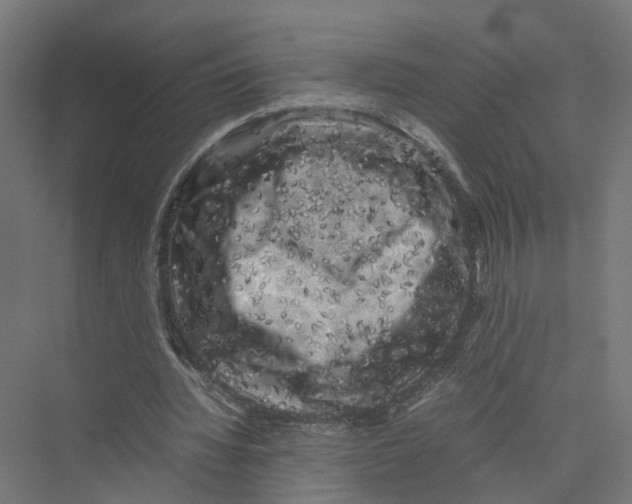 X0000075380436200610061843