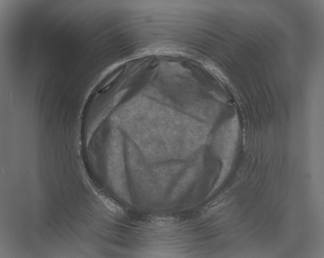 X0000075380438200610061843