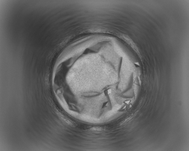 X0000075380441200610061843