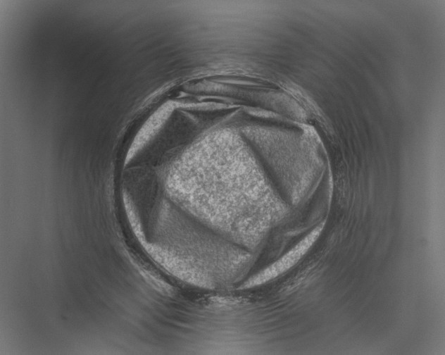 X0000075380442200610061843