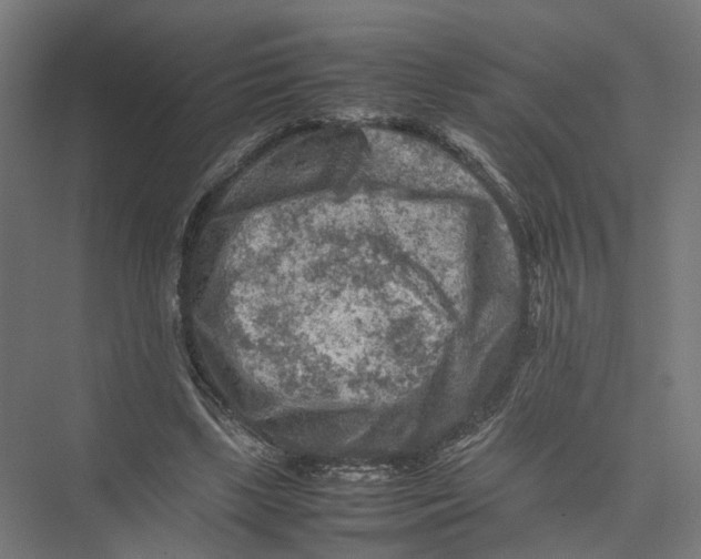 X0000075380443200610061843