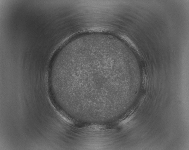 X0000075380444200610061843