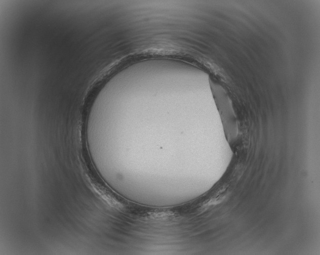 X0000075380446200610061843