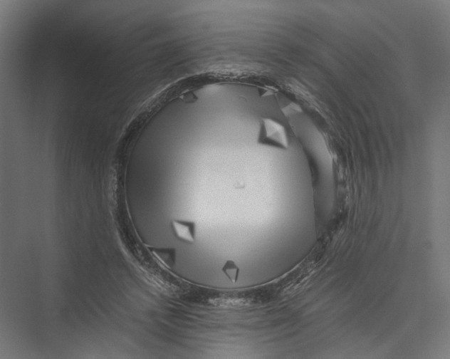 X0000075380448200610061843