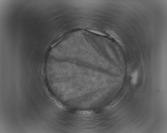 X0000075380449200610061843