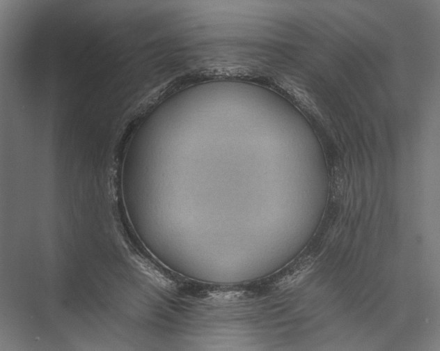 X0000075380450200610061843