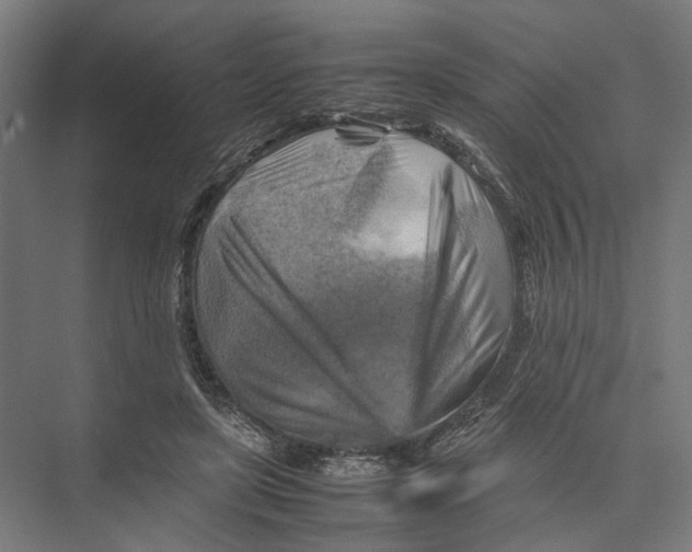 X0000075380451200610061843