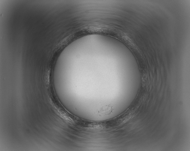 X0000075380454200610061843