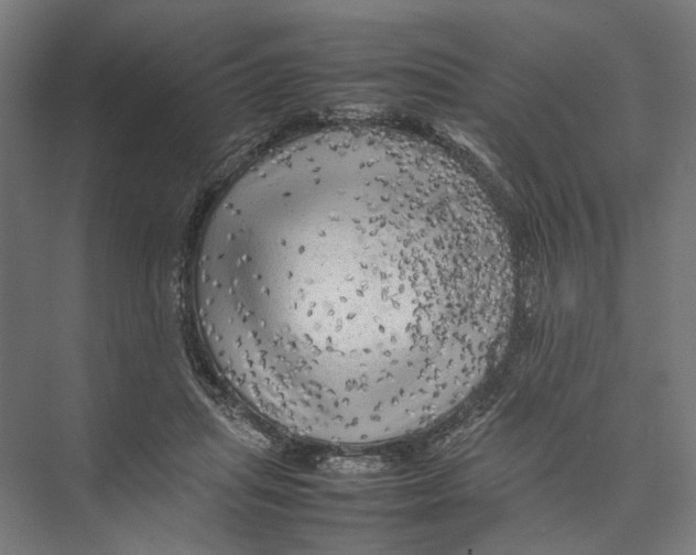 X0000075380455200610061843