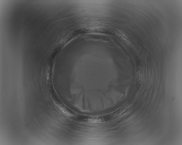 X0000075380458200610061843