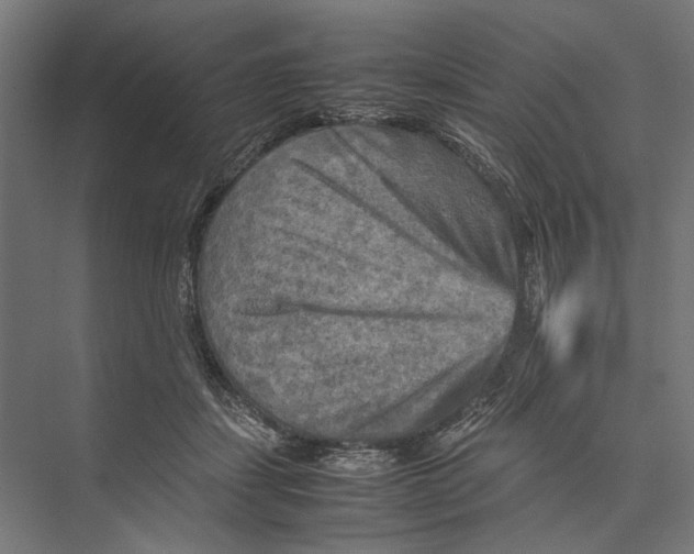 X0000075380459200610061843