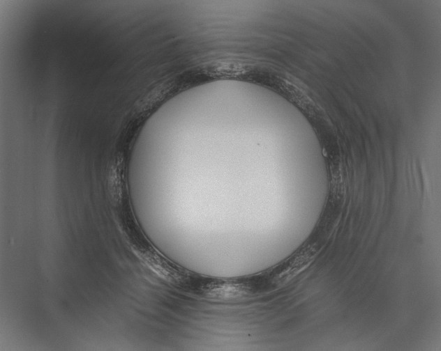 X0000075380460200610061843