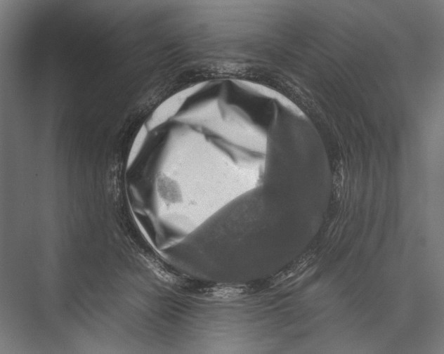 X0000075380462200610061843