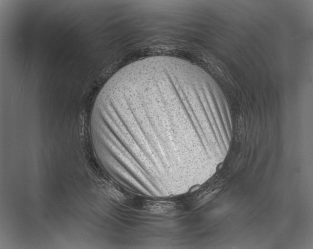 X0000075380463200610061843