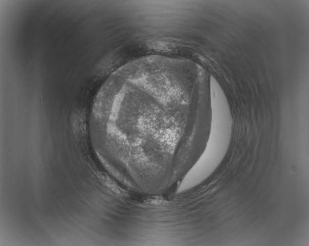 X0000075380466200610061843