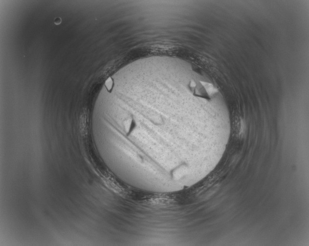 X0000075380468200610061843