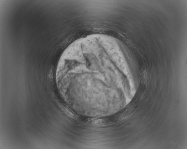 X0000075380472200610061843